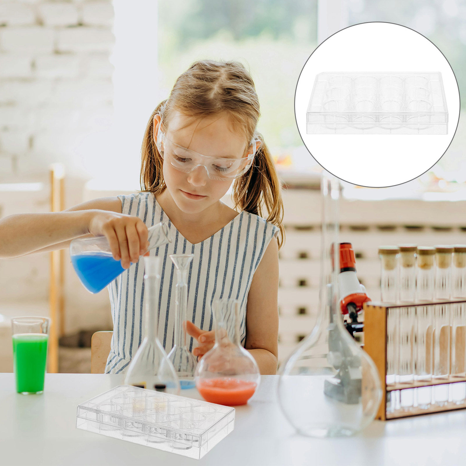 Lab Equipment - 12 Well Transparent Cell Culture Plate