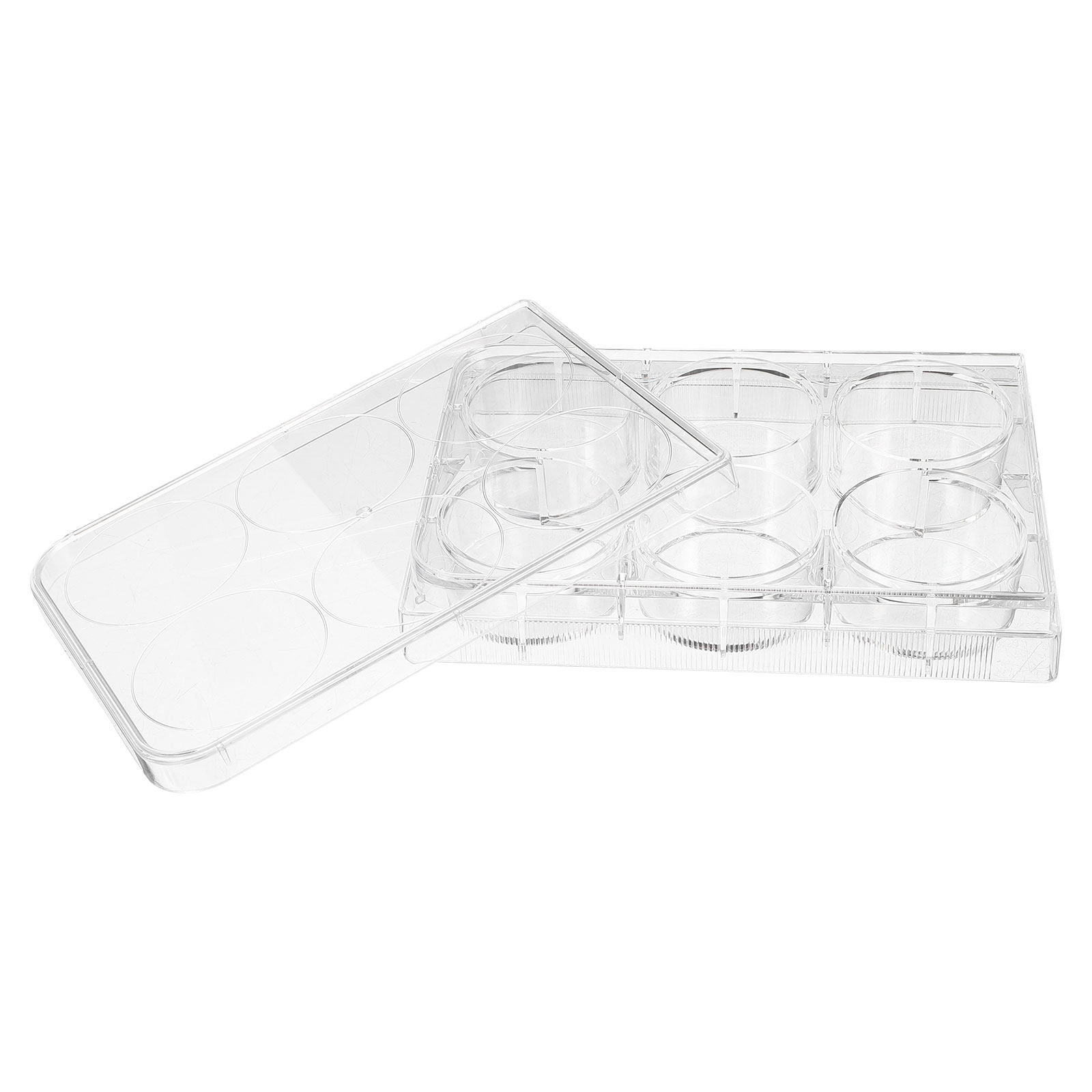 Tissue Culture Plate Lab Durab - Lab Equipment 评论和价格