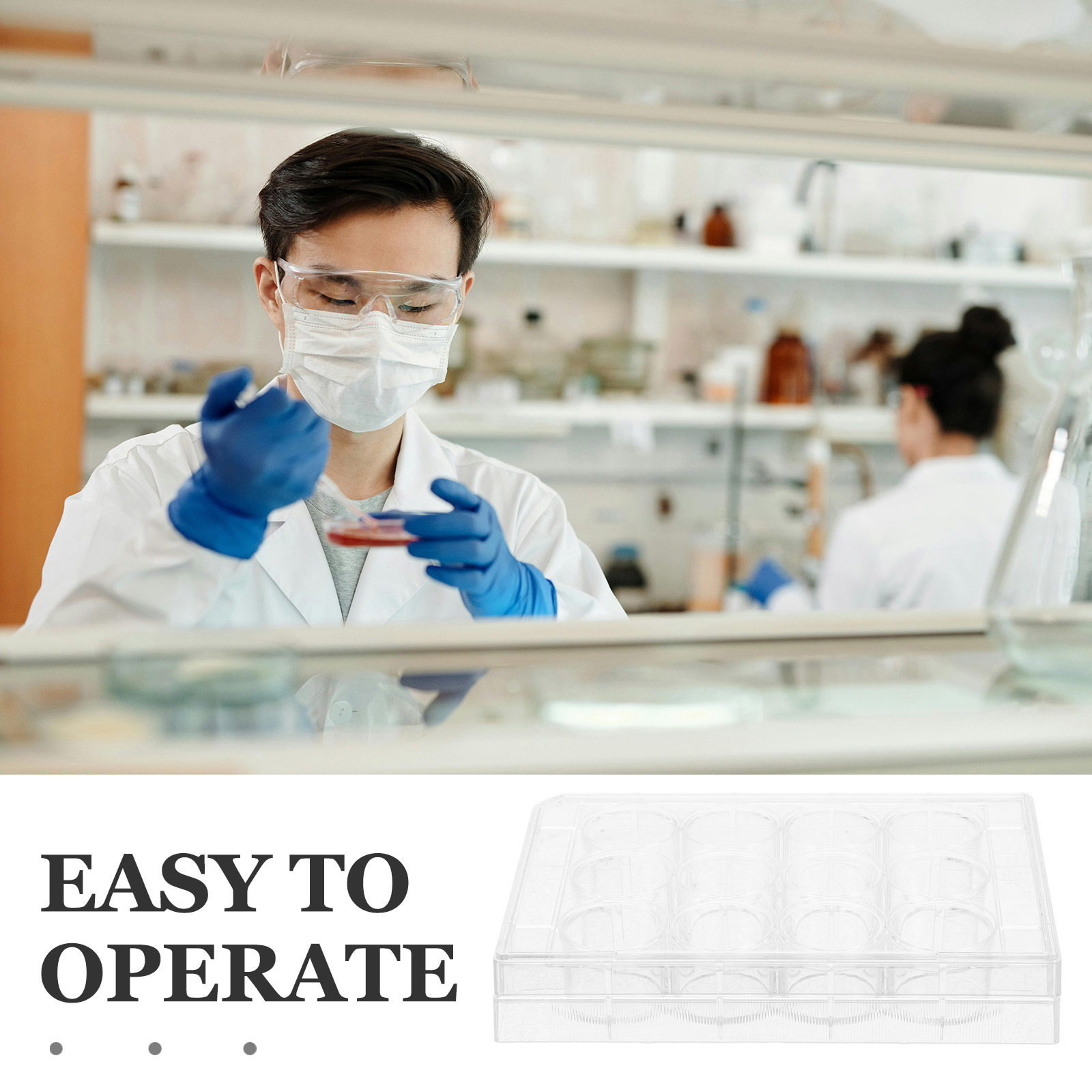 12 Well Transparent Cell Cultu - Lab Equipment 评论和价格